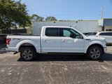 Used 2019 Ford F150 XLT w/ Equipment Group 302A Luxury image 4