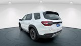 New 2025 Honda Pilot EX-L image 3