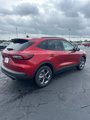 New 2025 Ford Escape ST-Line w/ Tech Pack #1 image 5