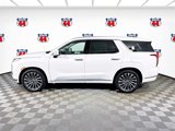 New 2025 Hyundai Palisade Calligraphy image 5