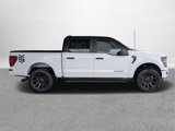 New 2025 Ford F150 STX w/ Equipment Group 200A image 2