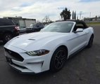 Used 2022 Ford Mustang Premium image 6