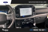New 2025 Ford F150 XLT w/ Equipment Group 302A MID image 6