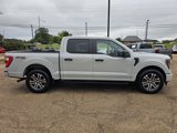 Used 2023 Ford F150 XL w/ STX Appearance Package image 3