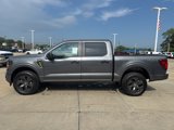 New 2025 Ford F150 STX image 3