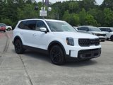 New 2025 Kia Telluride SX Prestige X-Pro image 2