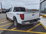 New 2024 Ford F150 XLT w/ Equipment Group 302A MID image 2