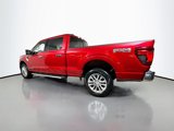 New 2025 Ford F150 XLT w/ Equipment Group 303A High image 4