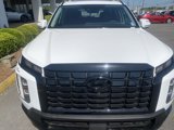 New 2025 Hyundai Palisade XRT image 6