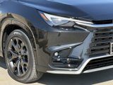 New 2025 Lexus TX 500h AWD image 4