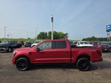 New 2025 Ford F150 Platinum image 4