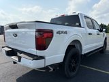 New 2025 Ford F150 STX w/ STX Black Appearance Package image 6