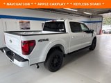 New 2025 Ford F150 XLT w/ Equipment Group 302A MID image 5