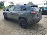Used 2019 Jeep Cherokee Trailhawk w/ Cold Weather Group image 4
