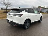 New 2025 Nissan Murano SL image 4