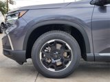 New 2025 Honda Pilot EX-L image 5