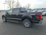 New 2025 Ford F150 XLT w/ Equipment Group 302A MID image 3