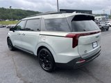 New 2025 Kia Carnival SX Prestige image 6