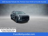 New 2025 Hyundai Palisade SEL image 5