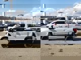 New 2025 Ford F150 XLT w/ Equipment Group 301A Standard image 5