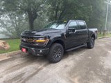 New 2025 Ford F150 Tremor image 3