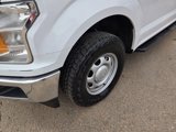 Used 2020 Ford F150 XL w/ Equipment Group 101A Mid image 4