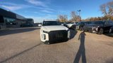 New 2025 Hyundai Palisade Calligraphy image 2
