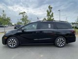 New 2025 Honda Odyssey EX-L image 5