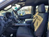 New 2025 Ford F150 XLT w/ Equipment Group 302A MID image 6