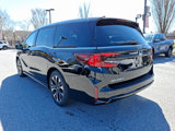 New 2025 Honda Odyssey Elite image 3