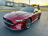 Used 2019 Ford Mustang Premium w/ Equipment Group 201A image 3