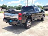 New 2025 Ford F250 4x4 Crew Cab Super Duty image 5