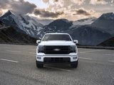 New 2025 Ford F150 Platinum image 6