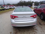 Used 2015 Hyundai Sonata Limited w/ Option Group 05 image 5