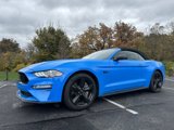 Used 2022 Ford Mustang GT Premium w/ Equipment Group 401A image 2