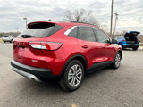 Used 2022 Ford Escape SEL w/ Technology Package image 6