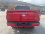 New 2025 Ford F150 XLT w/ Equipment Group 302A MID image 6