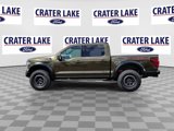 New 2025 Ford F150 Raptor image 5