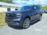 New 2025 Ford Expedition Active image 2