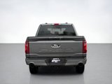 New 2025 Ford F150 XLT w/ Equipment Group 302A MID image 4