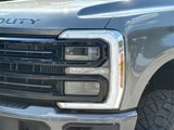 Used 2025 Ford F250 Platinum image 4