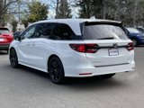 Certified 2023 Honda Odyssey Sport image 5