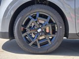 New 2025 Kia Carnival SX Prestige image 6