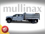 New 2025 Ford F450 XL image 2