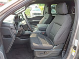 New 2025 Ford F150 XLT w/ Equipment Group 302A MID image 6