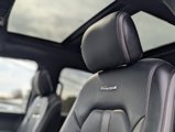 Used 2019 Ford F150 Platinum w/ Equipment Group 701A Luxury image 5
