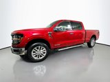 New 2025 Ford F150 XLT w/ Equipment Group 303A High image 3