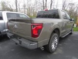 New 2025 Ford F150 XLT image 4