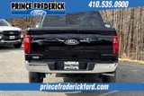 New 2025 Ford F150 XLT w/ Equipment Group 302A MID image 4