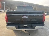 New 2025 Ford F150 XLT w/ Equipment Group 302A MID image 6